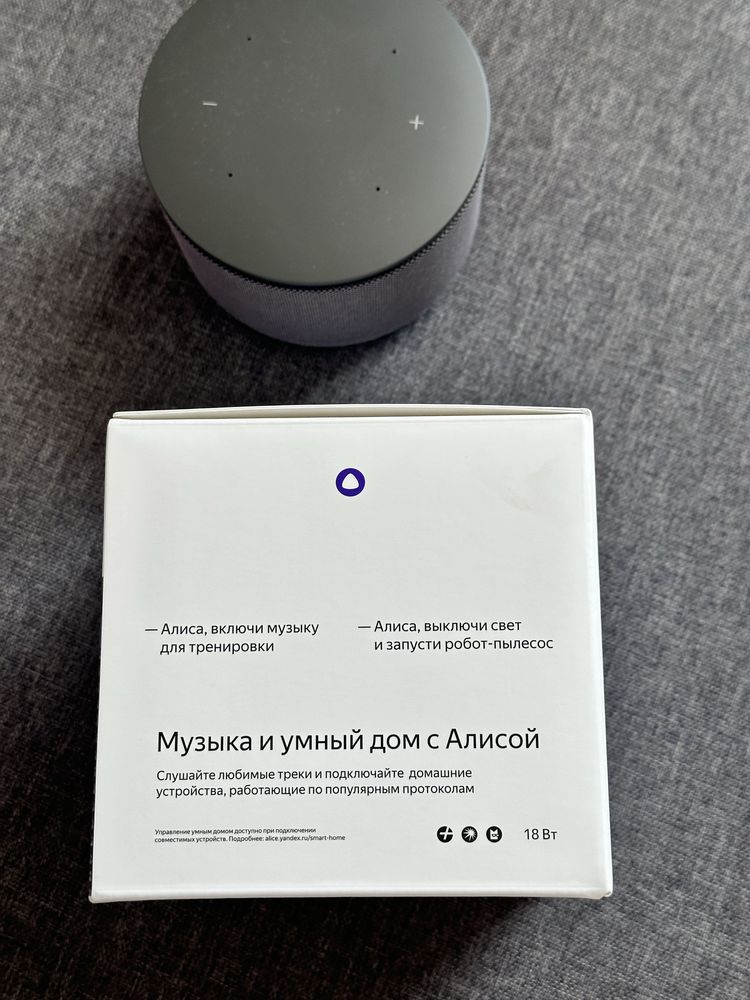 Станция яндекс Алиса