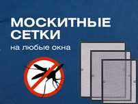 Москитные сетки на люьые окна. Антимошка, антипыль, плисе