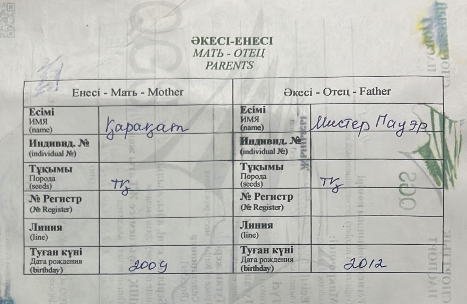 Продам лошадь чистокровную