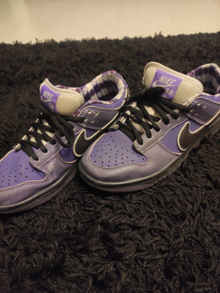 Фиолетовые Nike dunk SB с документами от Nike