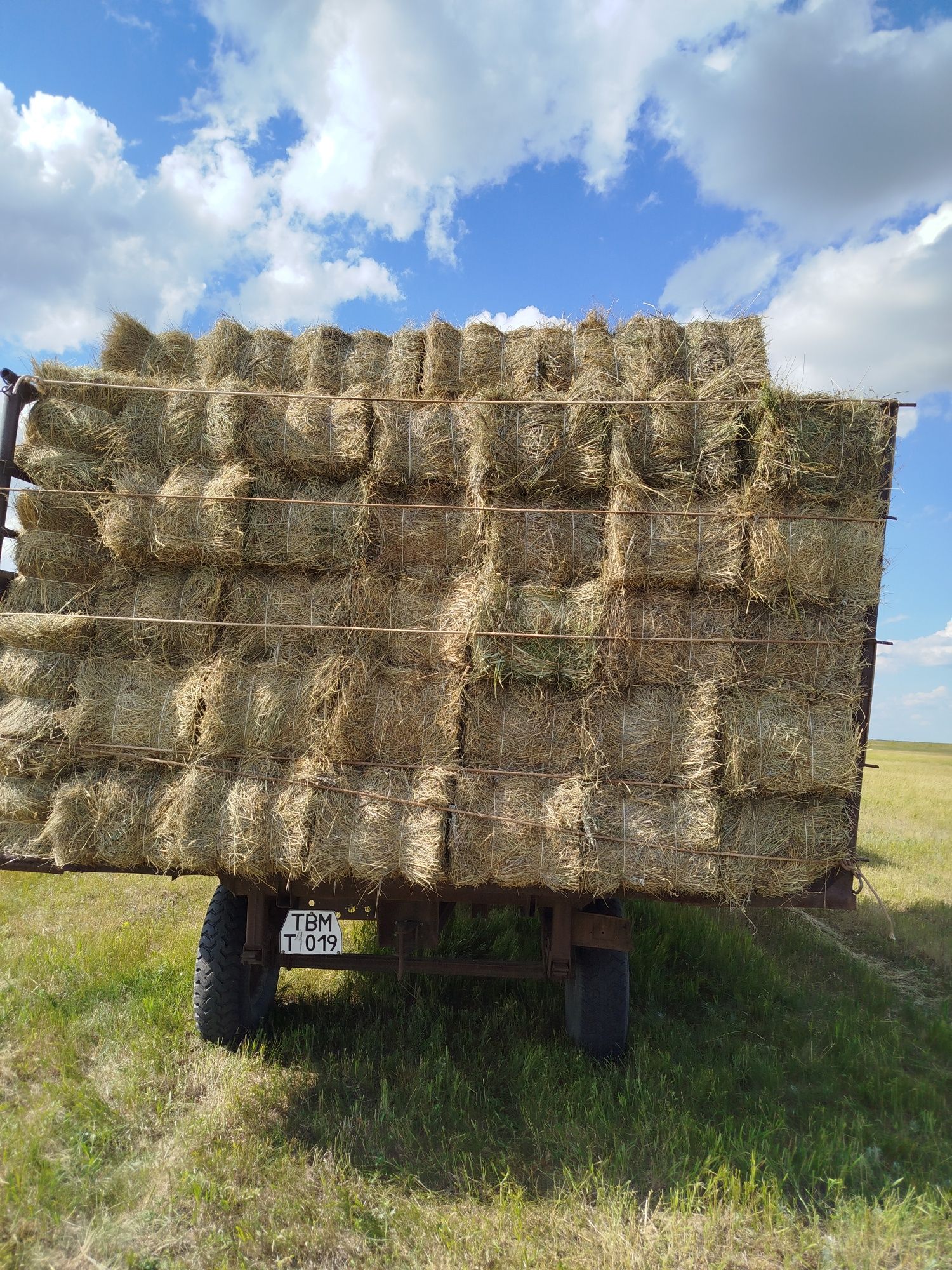 Продам сено в квадратных тюках