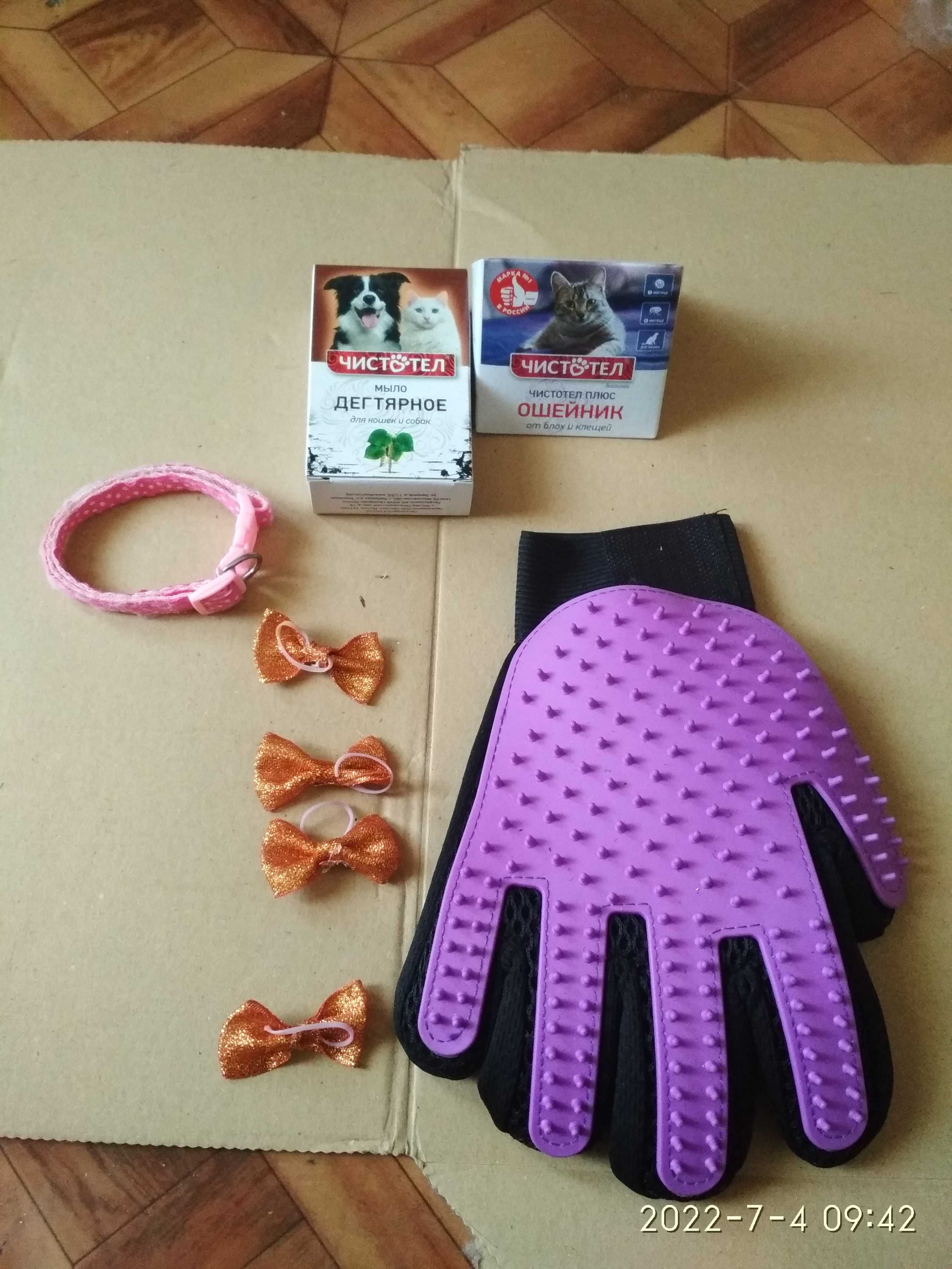 лотки шлейка миски игрушки для кошек