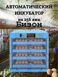 Инкубатор продам