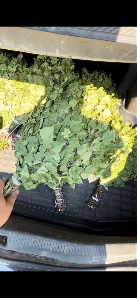 Продам веники для бани