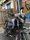 Альфа champ rs12