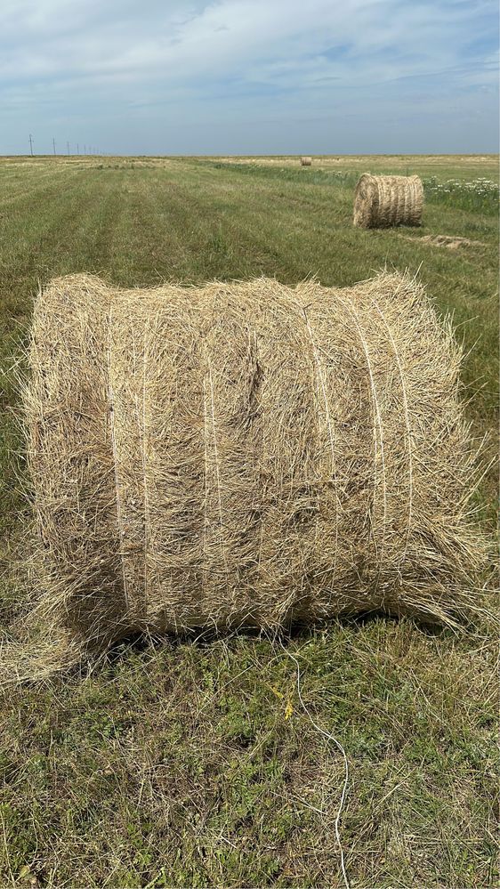 Сено круглый тюк шоп