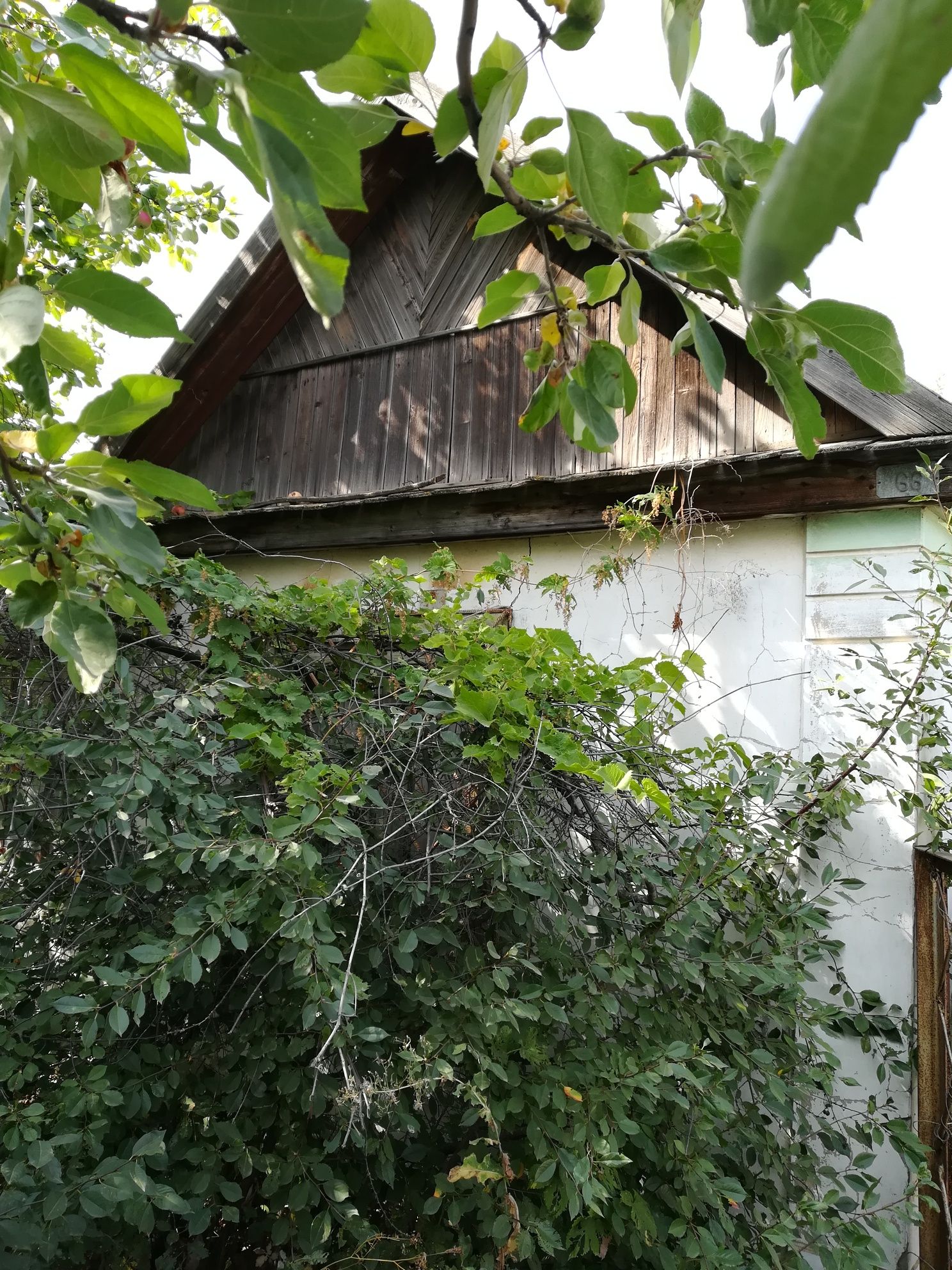 Дачный участок в обществе Локомотив