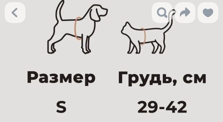 Продам шлейку с поводком