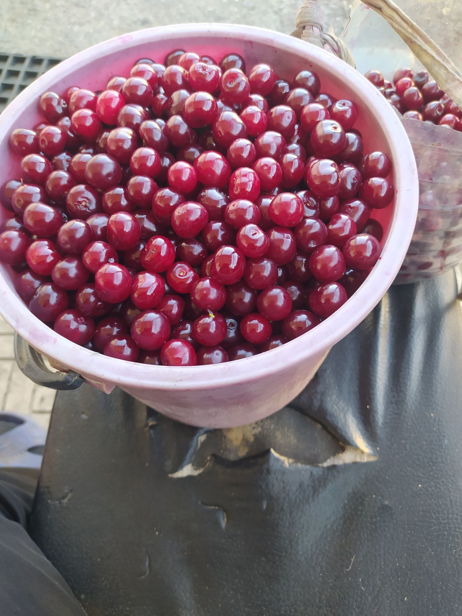 Продам домашнюю вишню