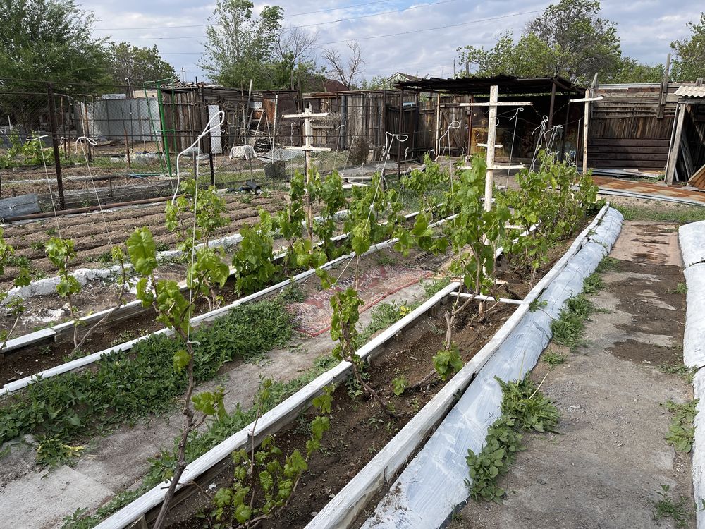 Продам дачу возле ГК Жемчужина , туалет душ все есть