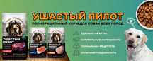 ДЁШЕВО корм для собак Алмата