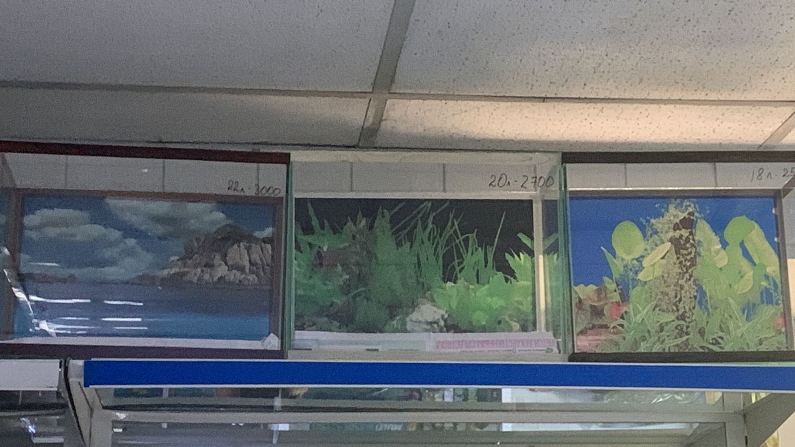 Аквариумы матрёшка