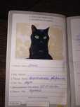 Отдам кота в добрые руки
