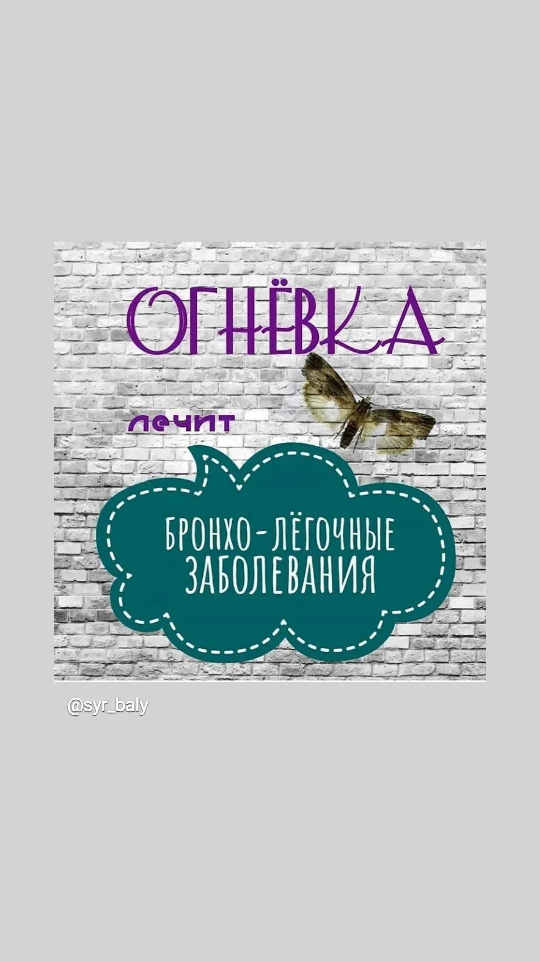 Огнёвка восковая моль 3000тг