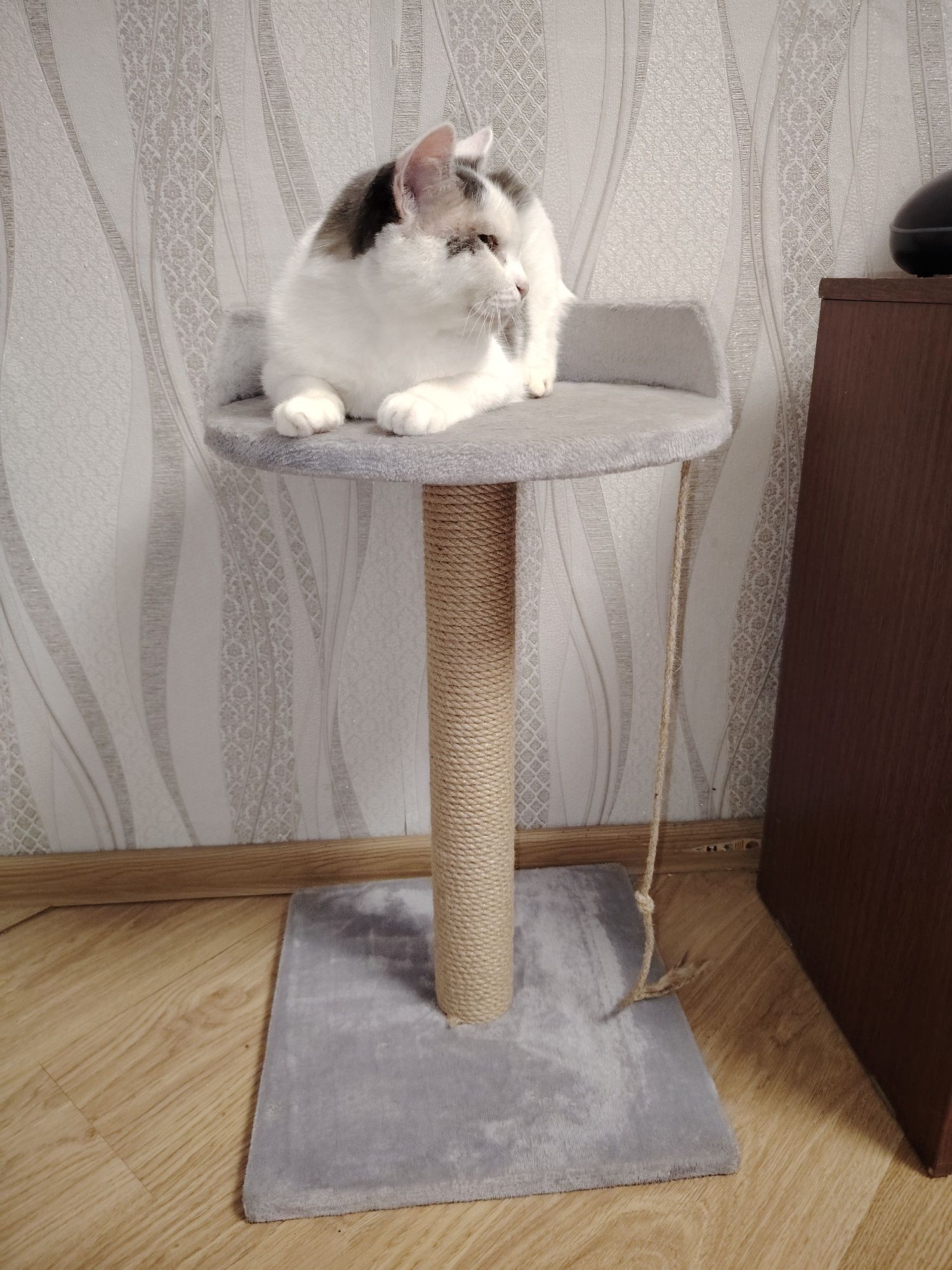 Продам лежанку для кошки в хорошем состоянии.