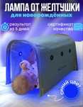 Лампа от желтушки аренда.  Фотолампа кювез арендаға