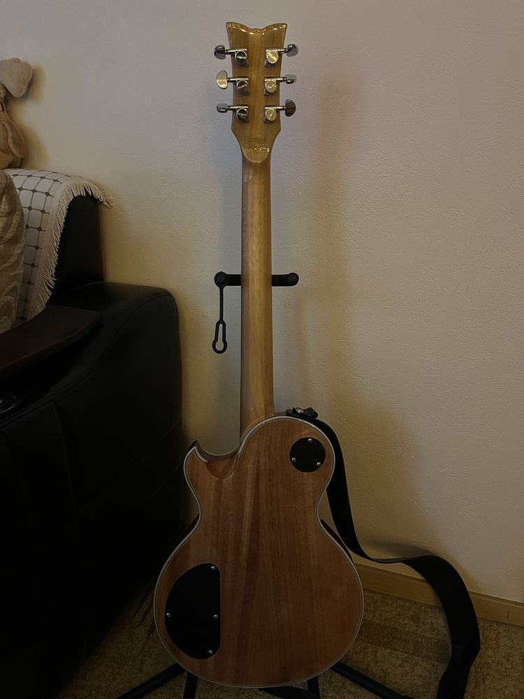 Schecter Solo-II Custom TBB
