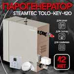 Парогенератор для хамама 12 кВт Steamtec TOLO 120 KEY