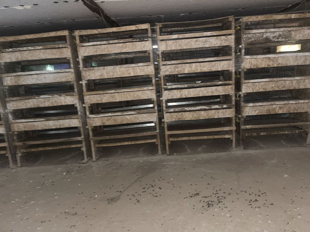 Продаётся фазенда площадью 181 гектар