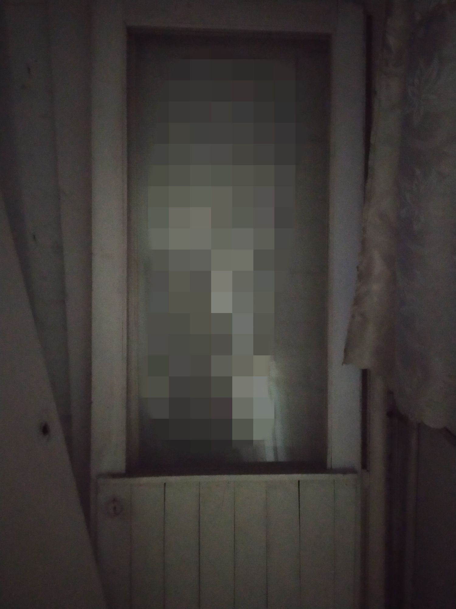 Двери со стеклом и без стекла