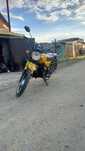 Racer ALPHA 2020 г