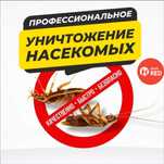 Уничтожение клопов и тараканов
