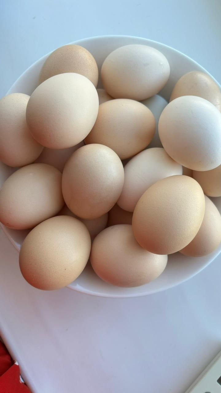 Продукты питания