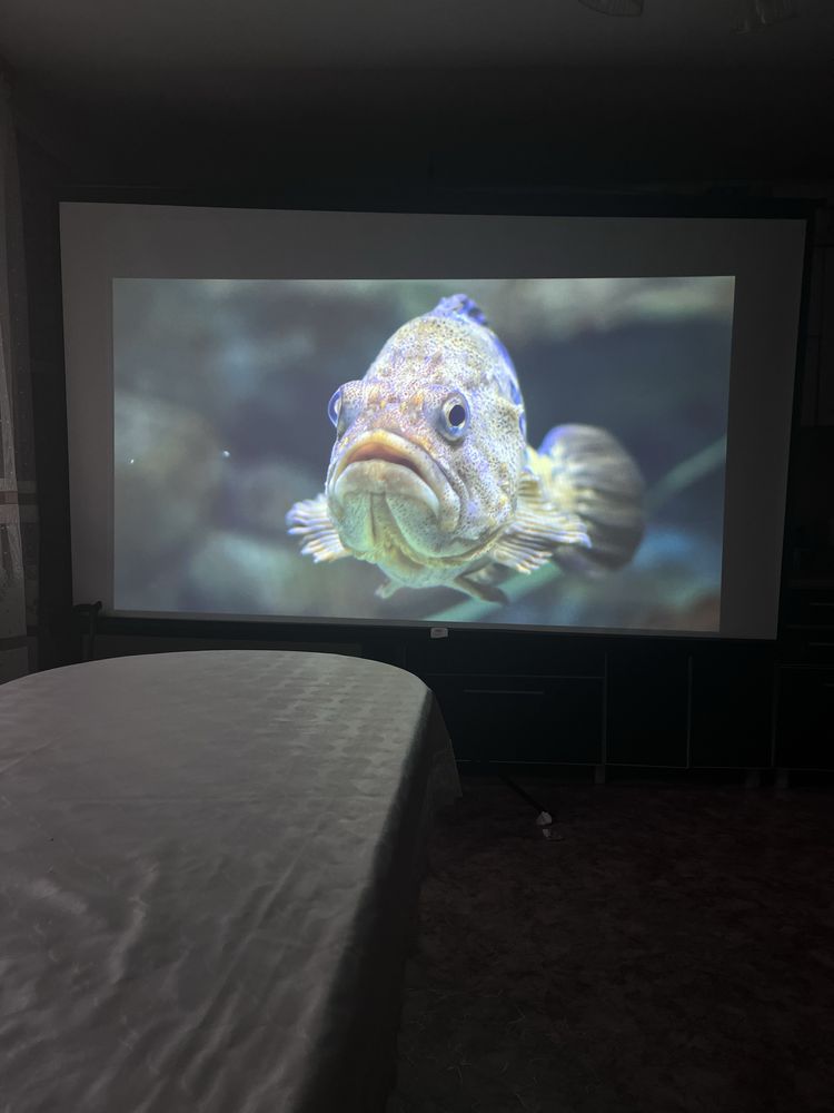 Продам проектор epson + экран
