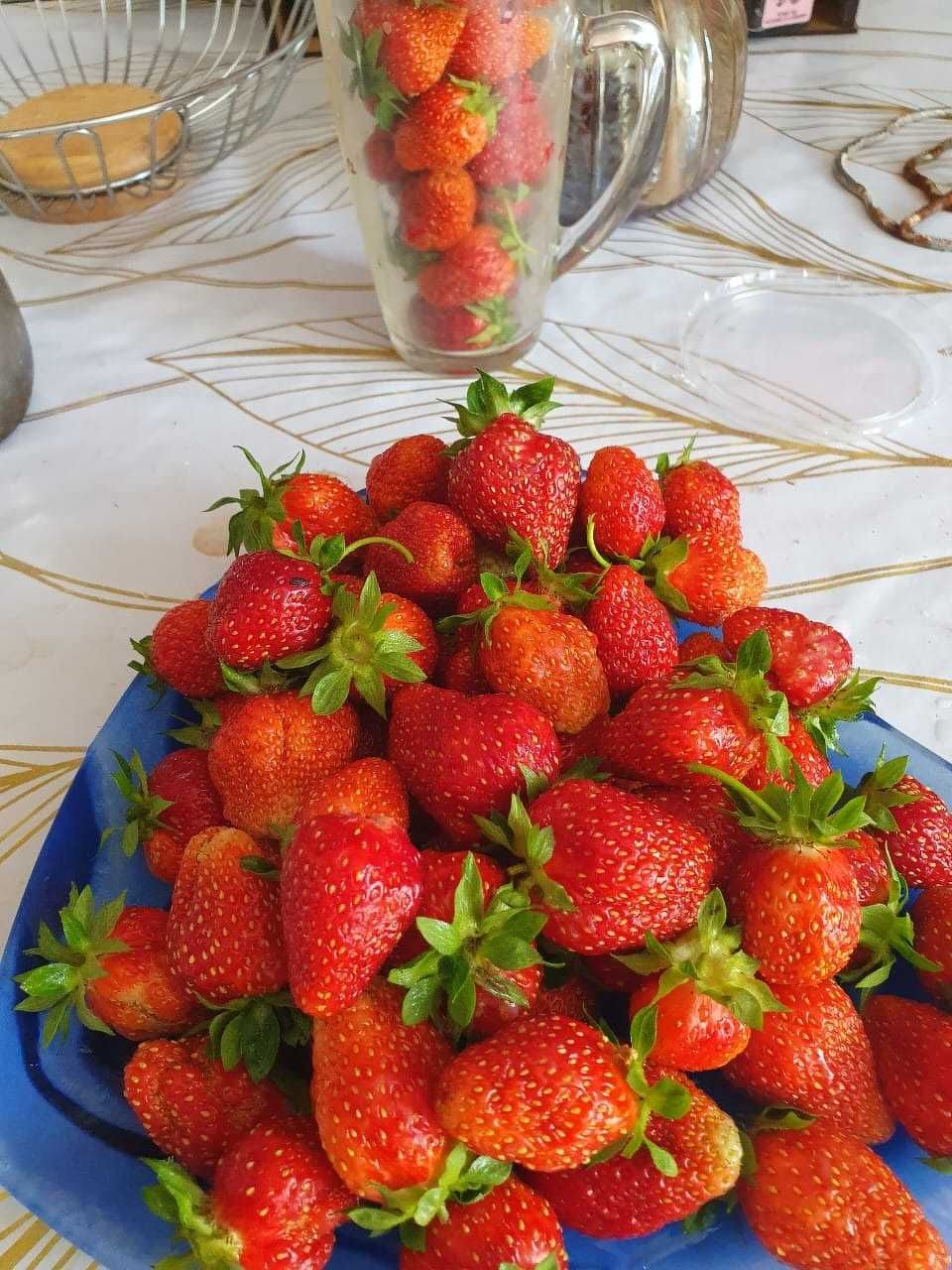 Дом, р-он Погодина с баней, хоз постройками и 6 сотками земли