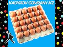 Инкубационные яйца Ломан Браун: ваш ключ к успеху!