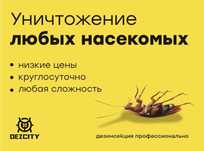 Дезинфекция уничтожение от тараканов клопов блох крыс мышей Обработка