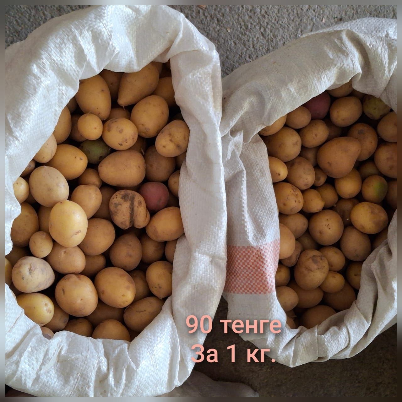 Продается свежая картошка урожай 2025 год.