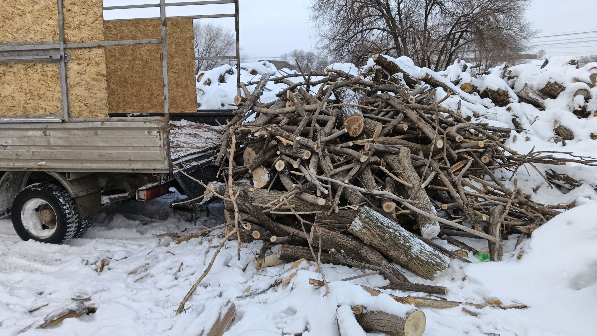 Продам дрова на топку,Агаш сатамыз,Доставкамен