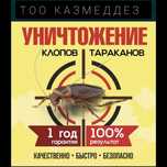 Дезинфекция Семей