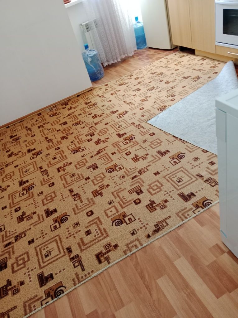 Продам палас размер 3 м на 2 м за 5000 тенге окончательно.