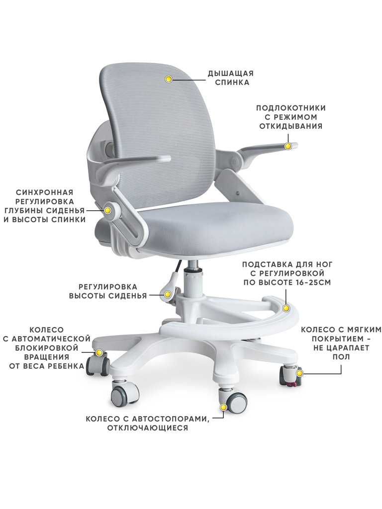 Комплект растущая парта Mealux Edmonton и кресло ErgoKids Dumbo Air