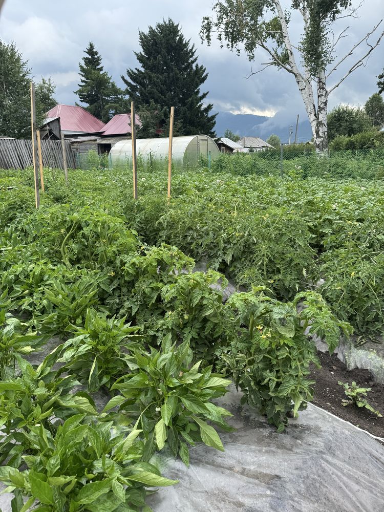 Продается кирпичный дом