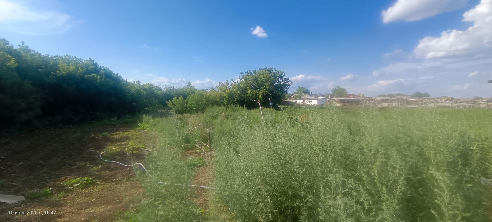 Үй сатылады . Бағасы келісімді.