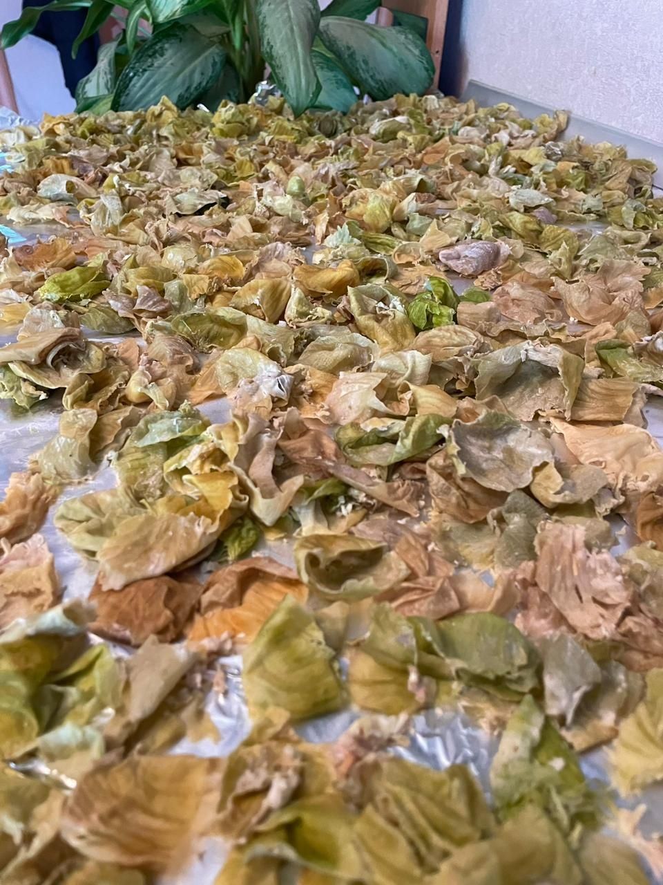 Плёнка куриного желудочка