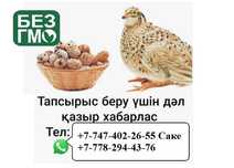 Бөдене жұмыртқасы емге. Перепелиные яйцо
