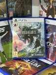 WILD Hearts для Sony PlayStation 5 ,диски игра на ps 5