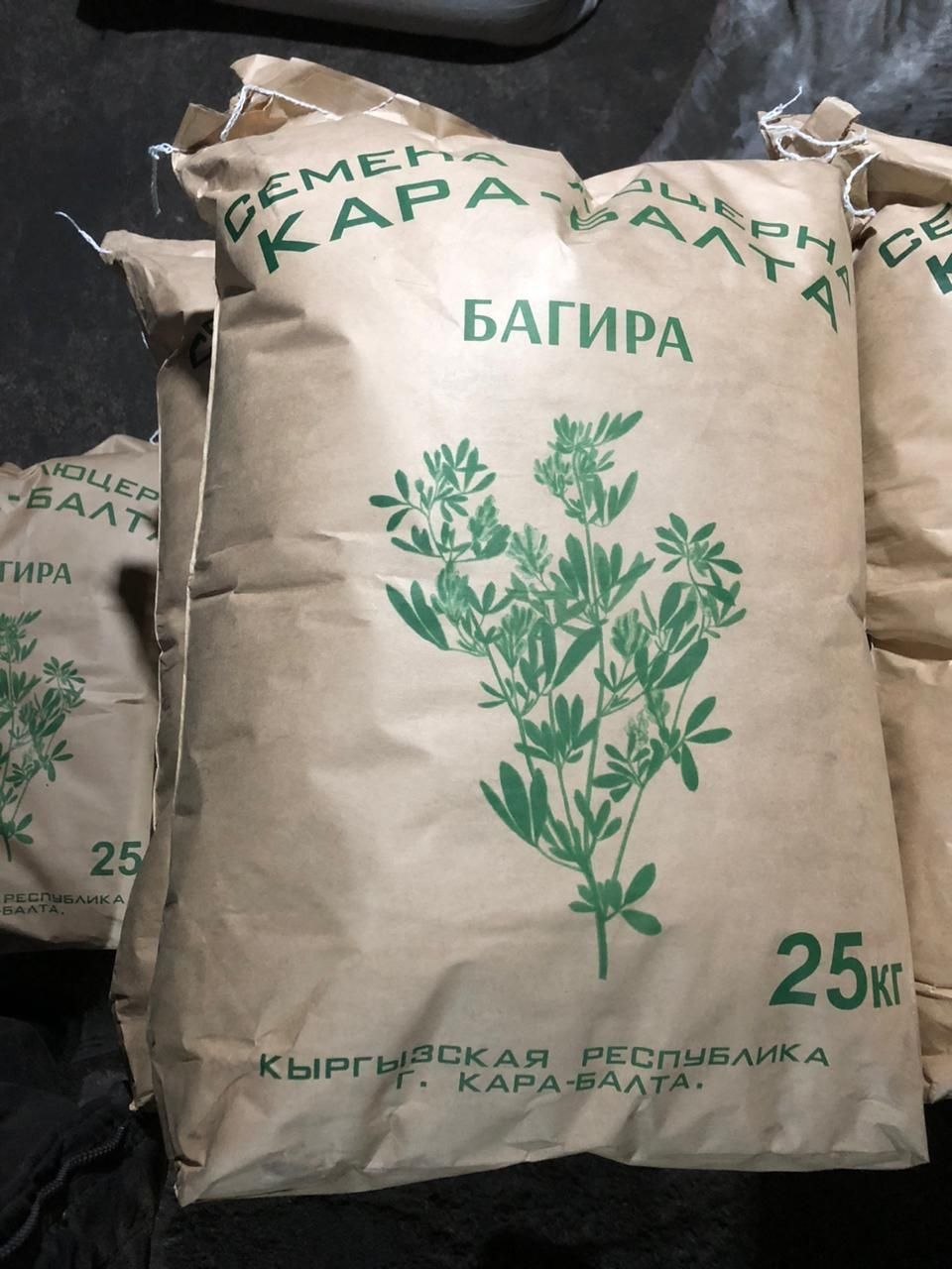 Семена люцерны в Мерке