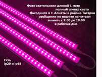 для микро-зелени ФИТО-ЛАМПЫ IP68 влагостойкие линейные светильники