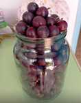 Продам крыжовник. Очень вкусный