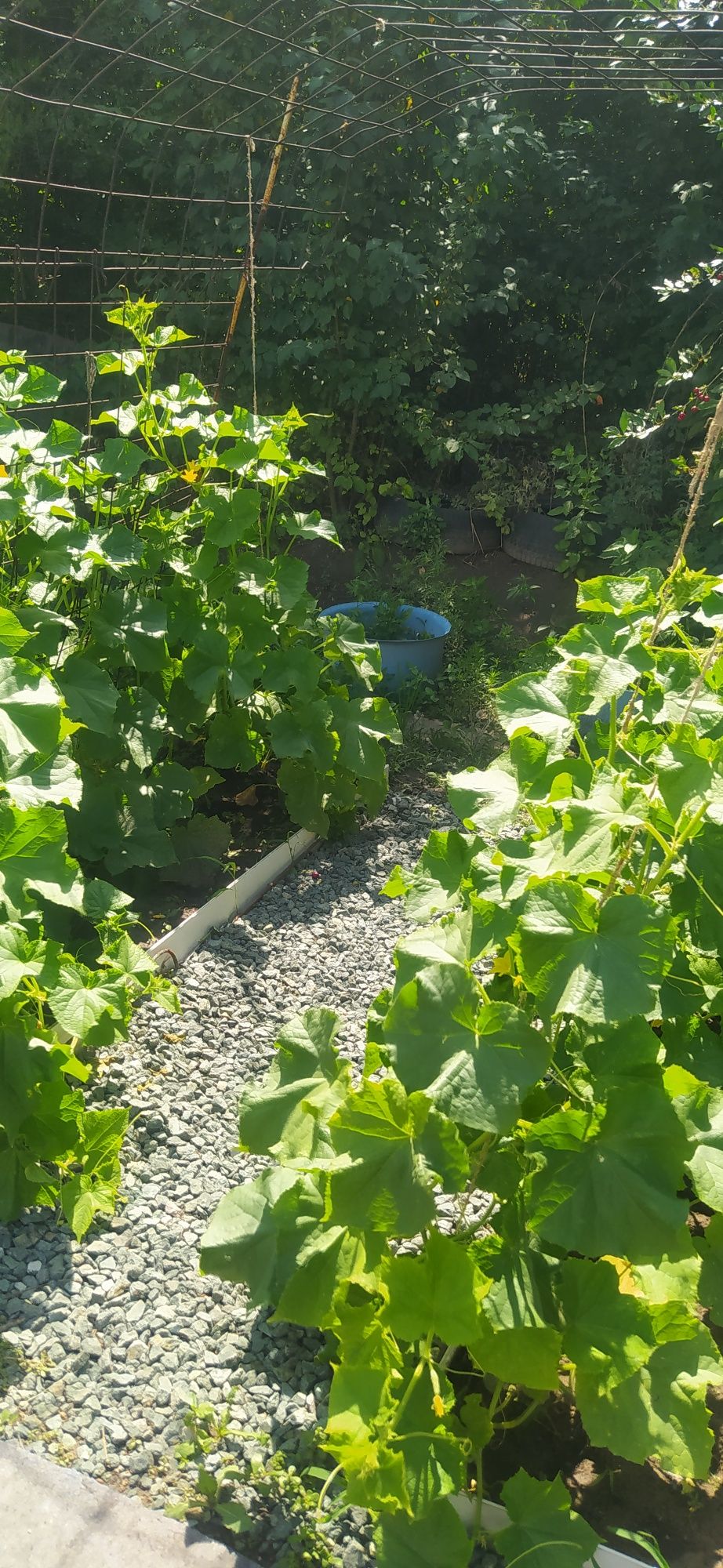 Продам дачу на бобровке