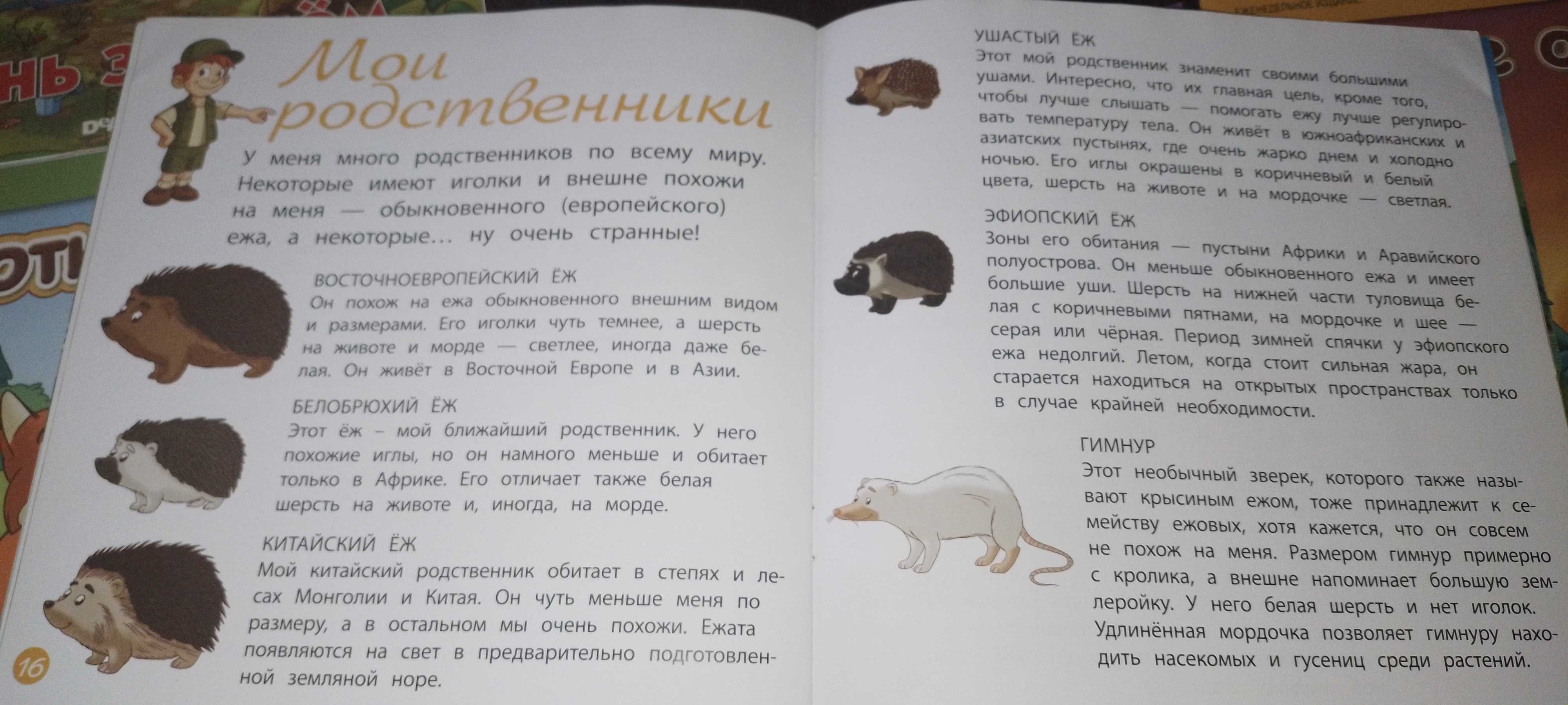 Сборник 1-12 серий детских журналов и фигурок "Животные леса"