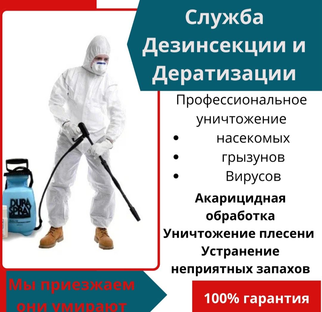 Уничтожение клопов, тараканов и грызунов