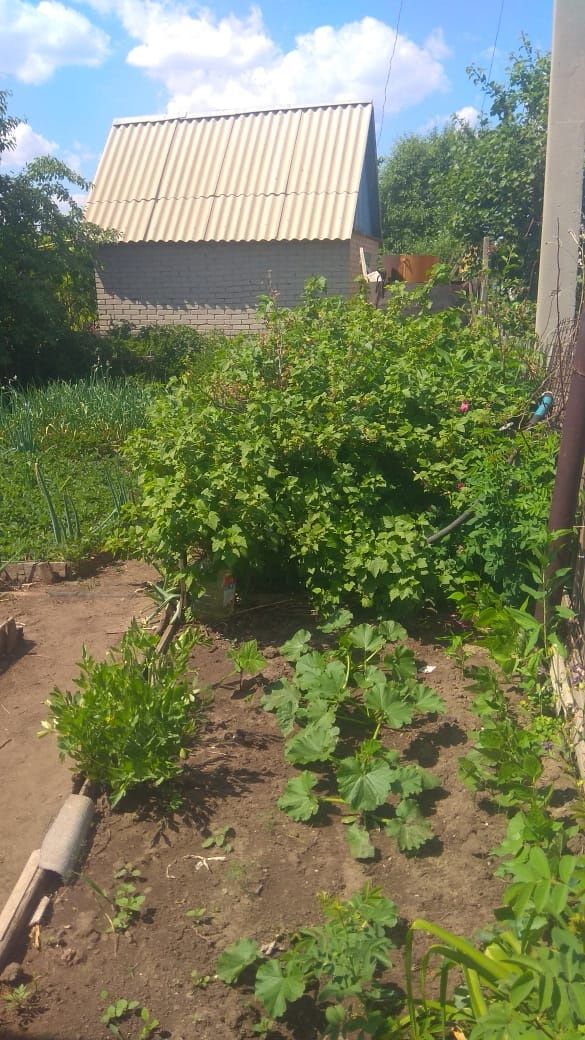 Продам Дачу в СО "Элеваторщик"