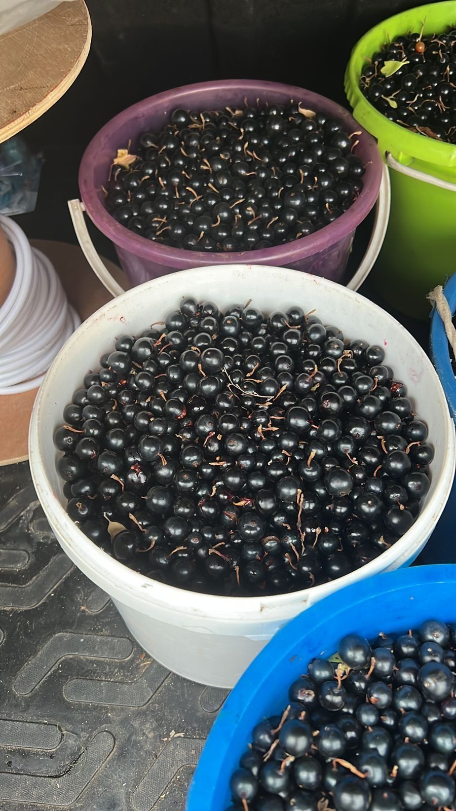Смородиная ( қарақат)  крупная, отборная!!!