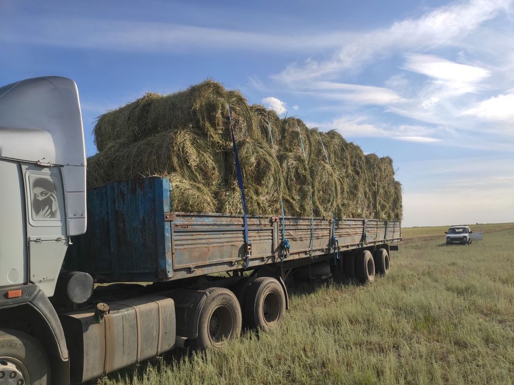 Продам сено отличного качества
